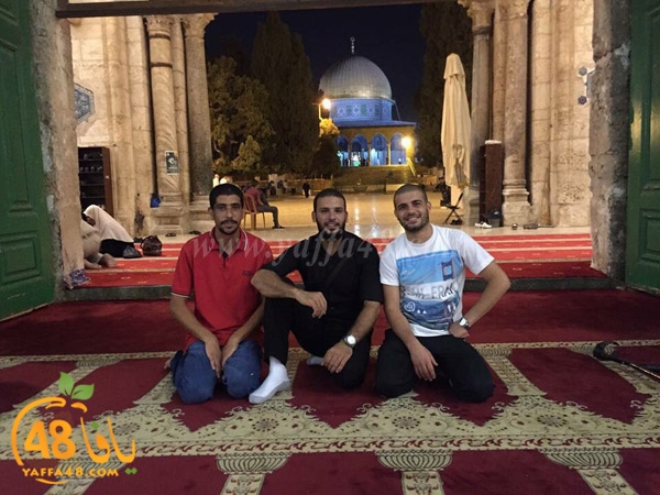 yaffa rebatt3 (12).jpg